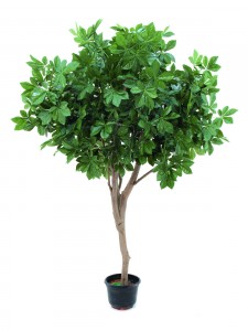 umělý strom nekvetoucí